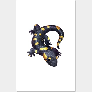 Cozy Fire Salamander Posters and Art